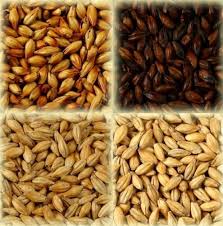 Barley Malt Extract | Barley Malt Powder